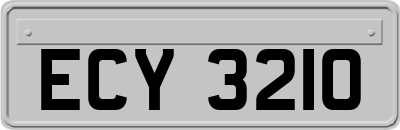 ECY3210
