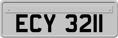 ECY3211