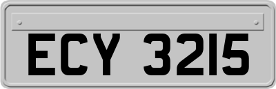 ECY3215