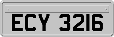 ECY3216