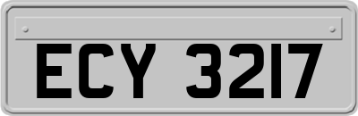 ECY3217