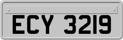 ECY3219