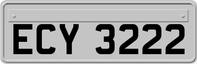 ECY3222