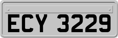 ECY3229