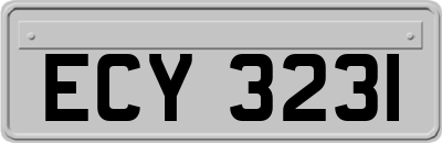 ECY3231