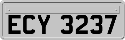 ECY3237