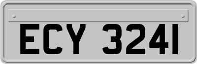 ECY3241