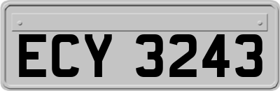 ECY3243