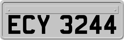 ECY3244