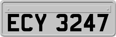 ECY3247
