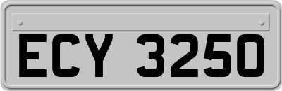 ECY3250
