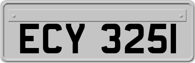 ECY3251