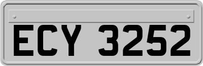 ECY3252