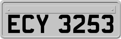 ECY3253