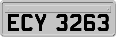 ECY3263