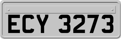 ECY3273