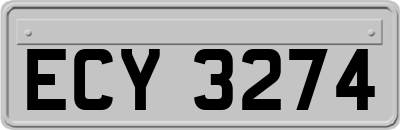 ECY3274