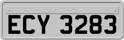 ECY3283