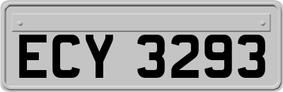 ECY3293