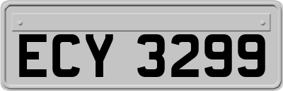 ECY3299