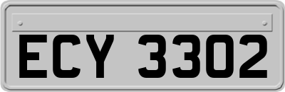 ECY3302