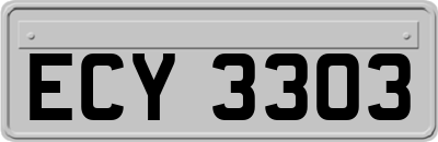 ECY3303