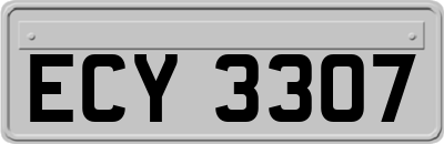 ECY3307