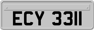 ECY3311