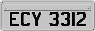ECY3312