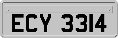 ECY3314