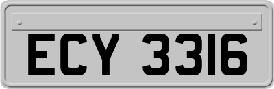 ECY3316