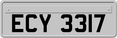 ECY3317