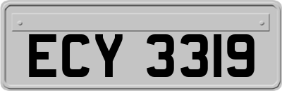 ECY3319