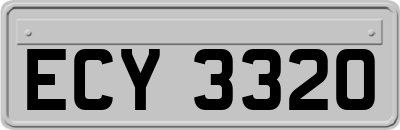 ECY3320