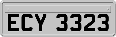 ECY3323