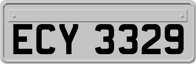 ECY3329