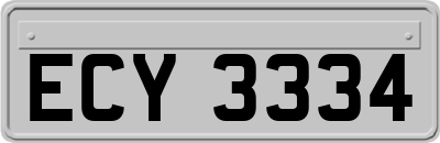 ECY3334