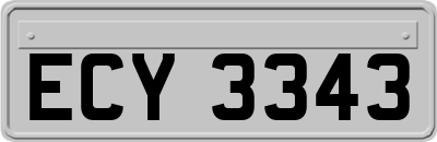 ECY3343