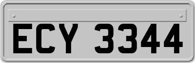 ECY3344