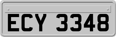 ECY3348