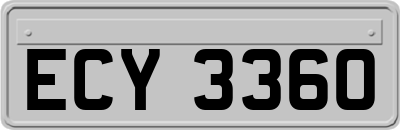 ECY3360