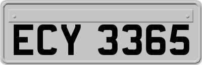 ECY3365