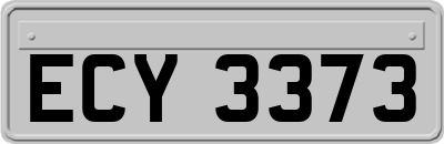 ECY3373