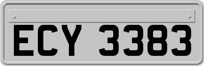 ECY3383