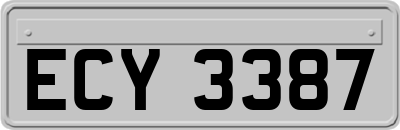 ECY3387