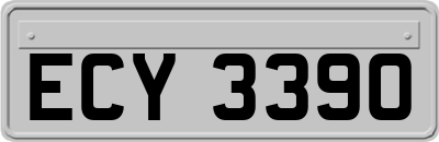 ECY3390