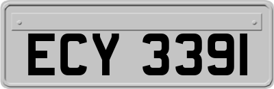 ECY3391