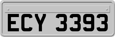 ECY3393