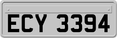 ECY3394