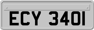 ECY3401